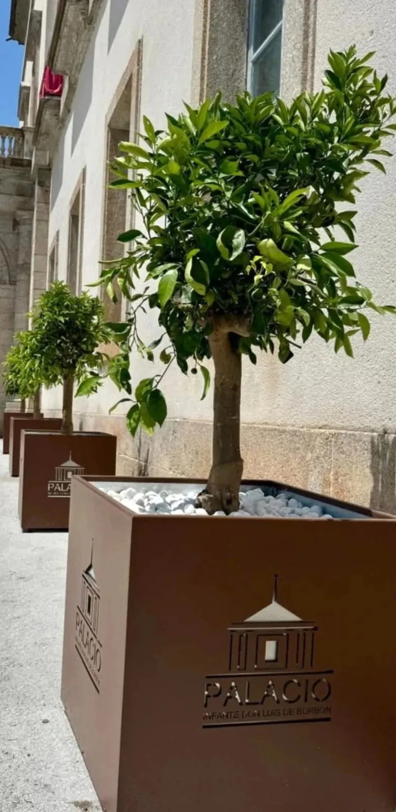 Jardineras cuadradas de acero corten con naranjos junto a la fachada de un edificio histórico