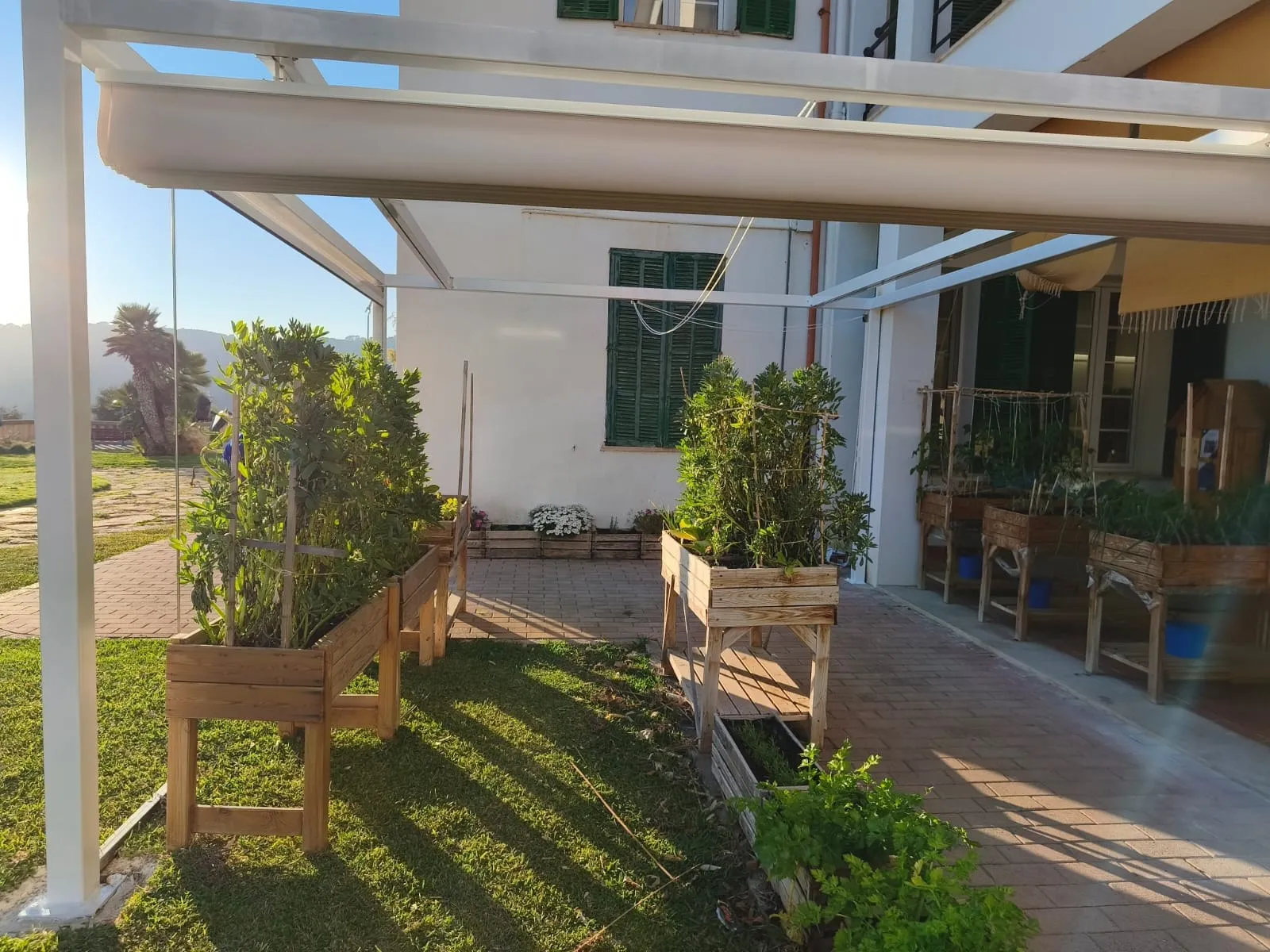 Pérgola con toldo retráctil sobre un patio escolar con huerto